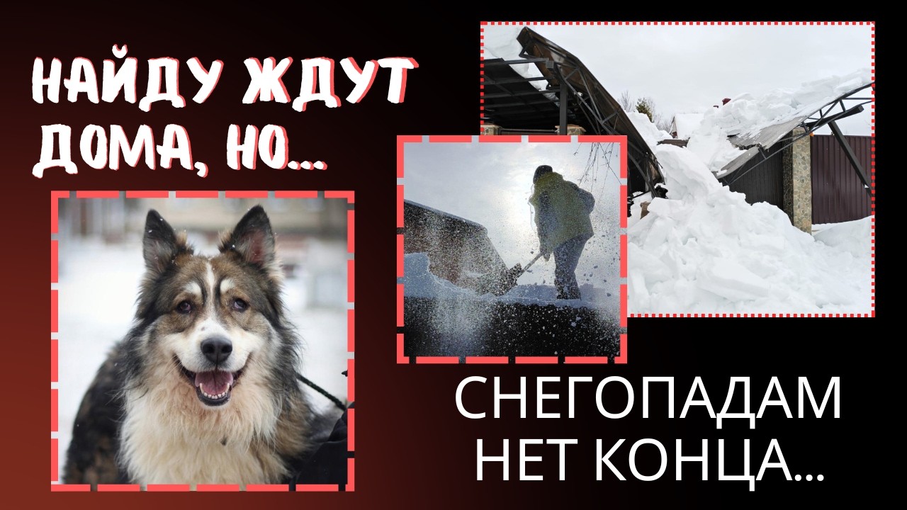 Люди! Как вы живёте? Мы никак... 😢