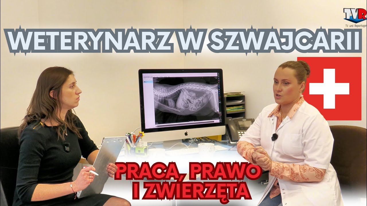 Praca weterynarza w Szwajcarii 🇨🇭 | Jak zacząć i jakie są przepisy? – wywiad z Gabrysią w TVR