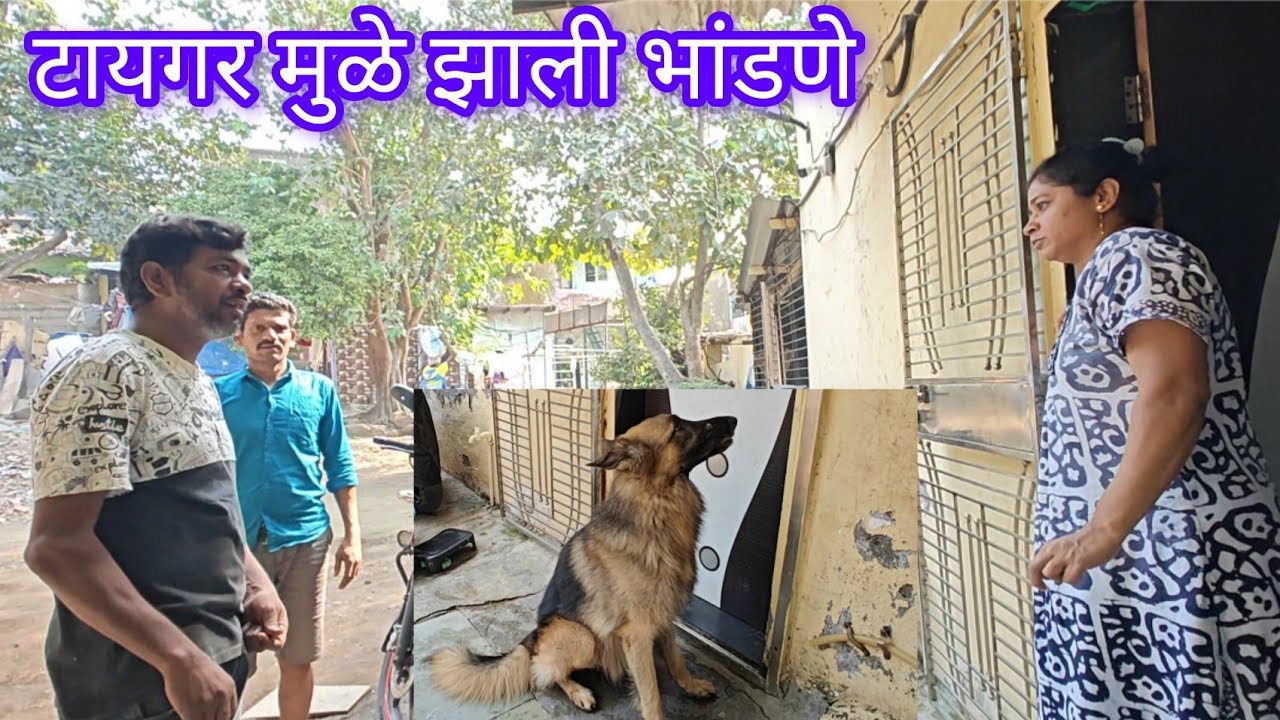 शेजारी आले भांडण करायला / टायगर ने आणली भांडणे 