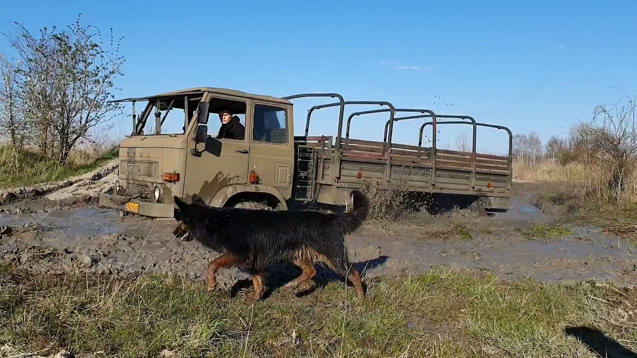 Wojskowa ciężar&oacute;wka Star 266 off-road w Sporty Ekstremalne 4x4