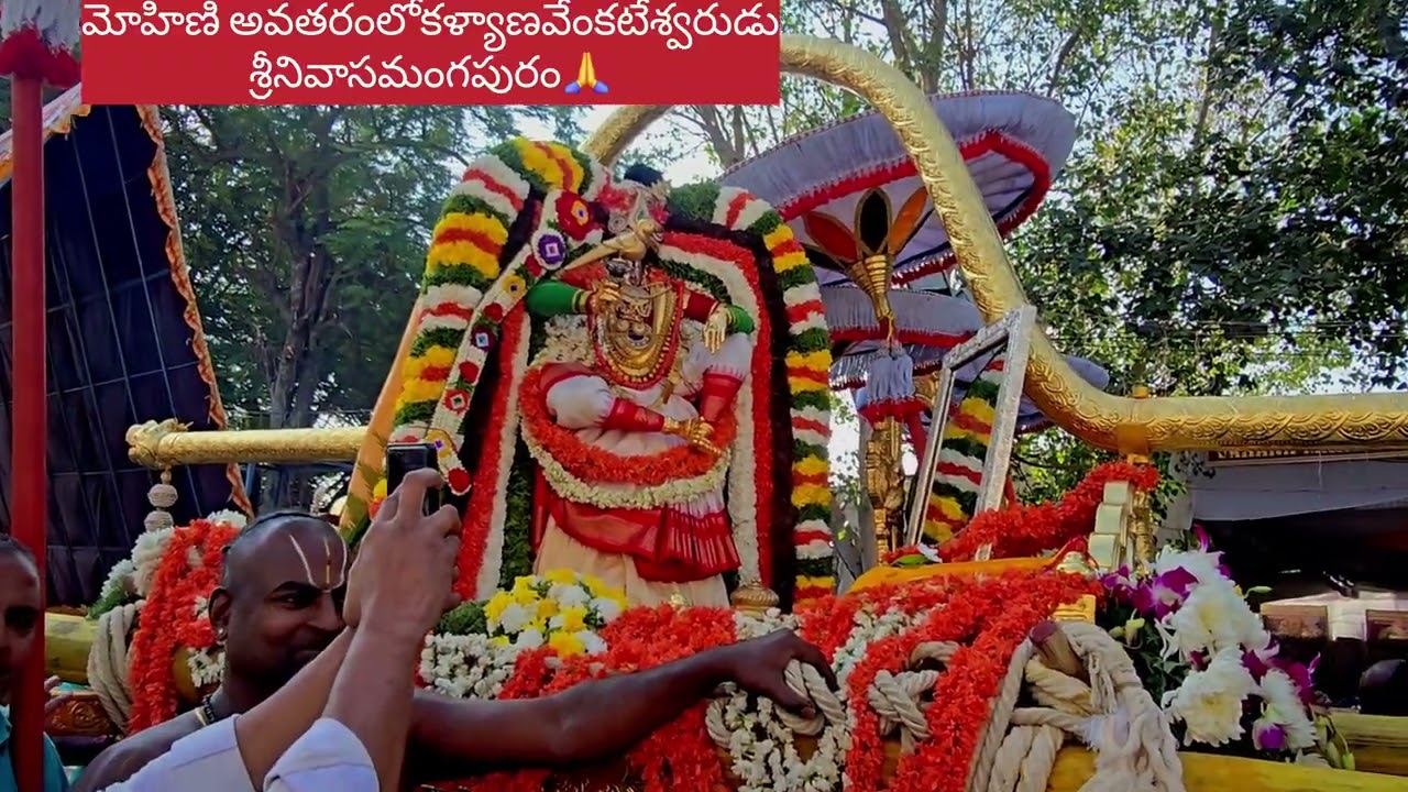 మోహిణి అవతారంలో శ్రీనివాసుడు🙏#tirupati#tranding #reels #hindu#tirumala#subscribe#photography #shere 