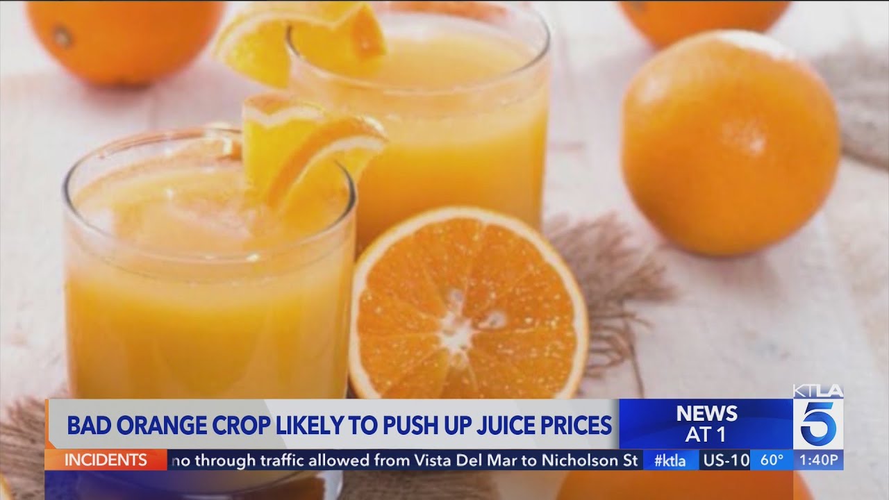 Bad orange juice crop likely to push up prices
