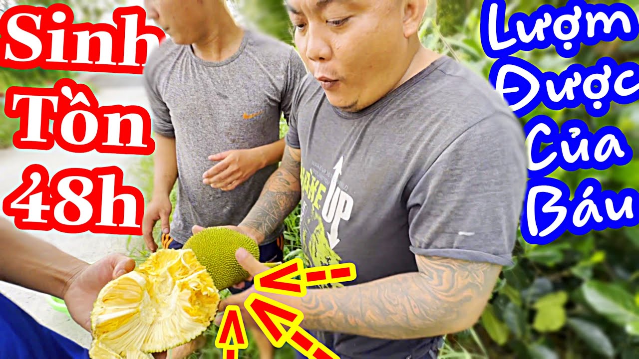 Sinh Tồn 48h Ngày 2 | Lang Thang Vô Tình Lượm Được Của Trời Cho