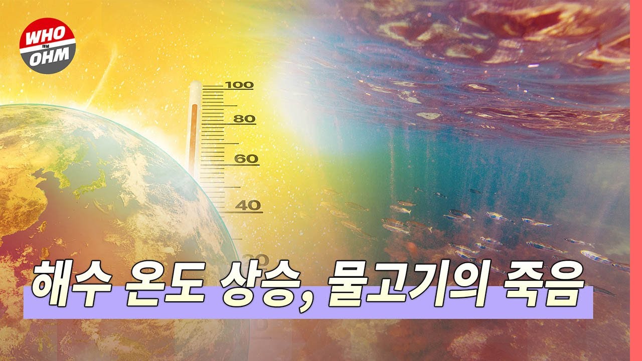 해수 온도 상승, 용존산소량 감소로 물고기 떼죽음! [경제뉴스]