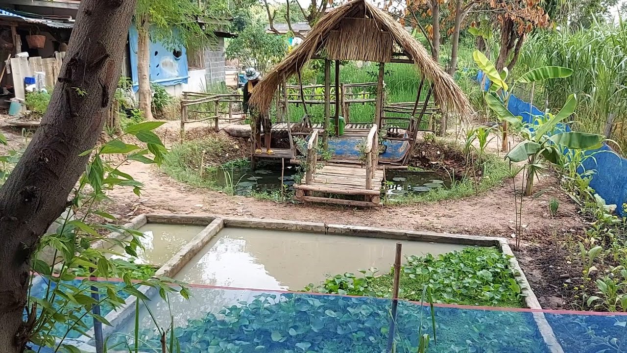 หนุ่มนักร้อง เจอพิษเศรษฐกิจ กลับบ้านใช้ที่ดิน 1 งาน ทำเกษตรผสมผสาน อยู่อย่างพอเพียง