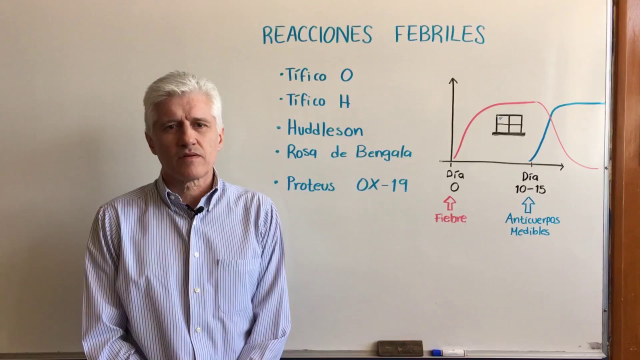 Las mentadas, socorridas y rutinarias reacciones febriles.