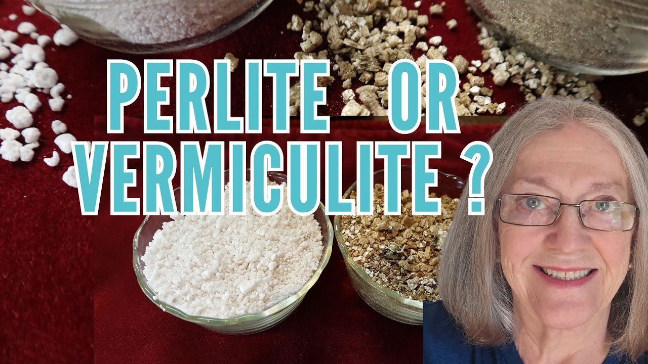 Vermiculite vs Perlite - Which Should I Choose?