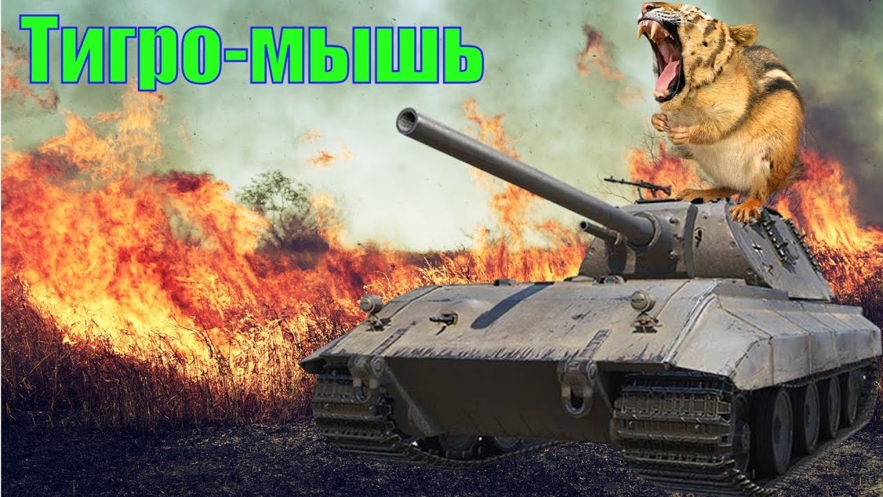 TIGER MAUS