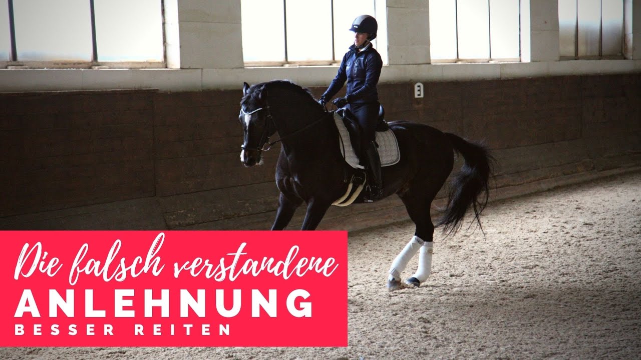 Besser reiten mit Christoph Ackermann | die falsch verstandene Anlehnung