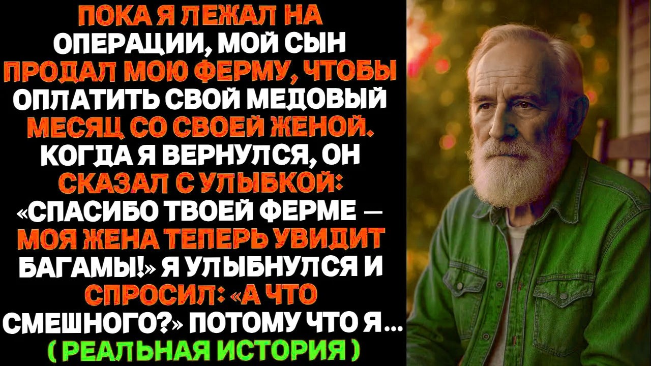 Мой сын продал моё хозяйство, чтобы уехать в путешествие с невесткой — и горько пожалел об этом...
