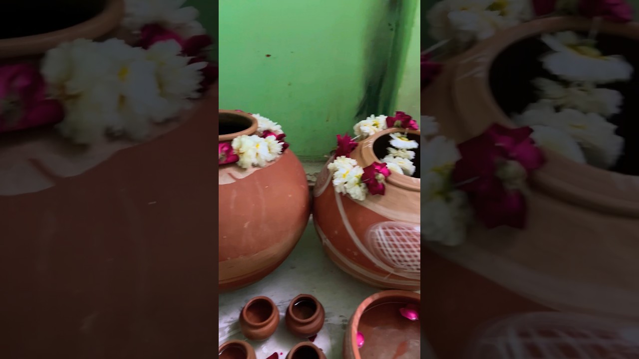 Shab e Barat Niyaz Ajmer Sharif #ajmer #khwajagaribnawaz #viral #shorts #shabebarat #trending