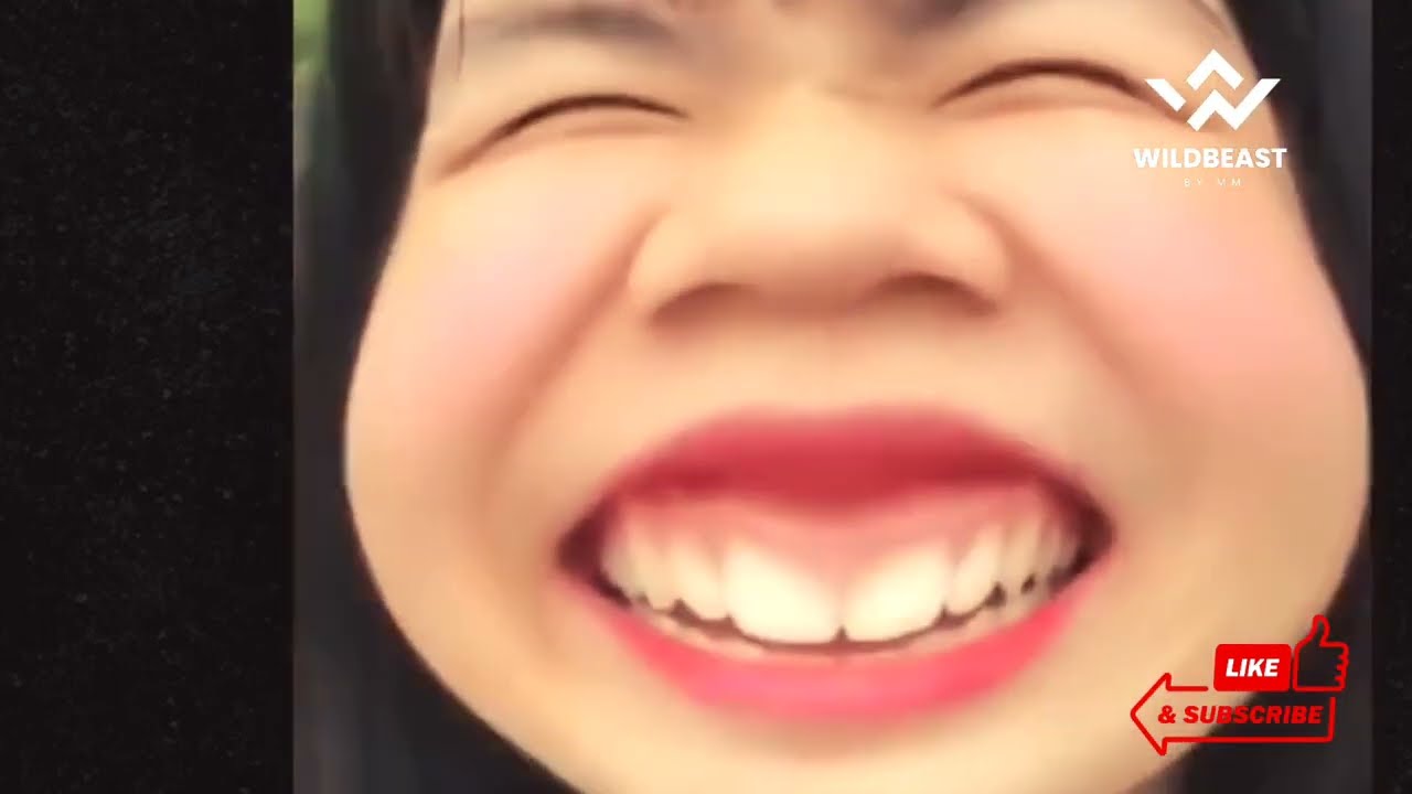 Best funny moments | Part 1 | Funny videos | Wildbeast by MM