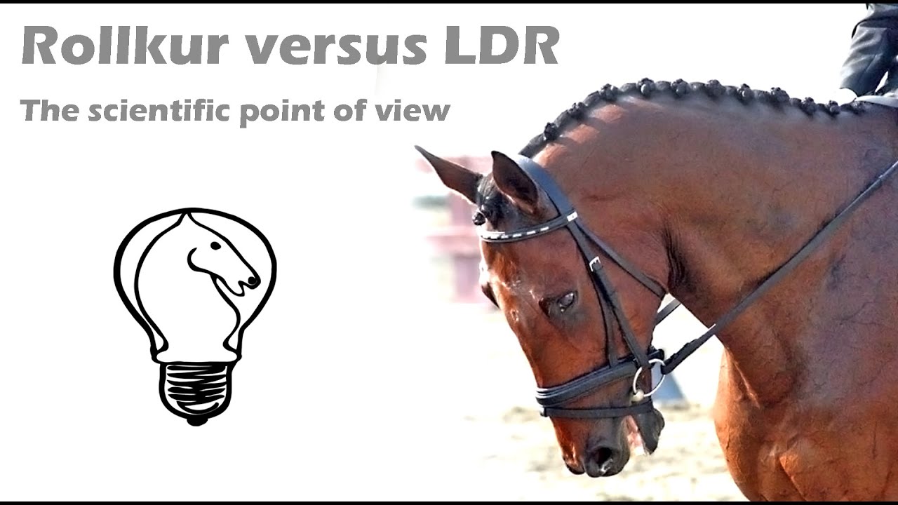 Rollkur (Hyperflexion) vs. Low Deep and Round (LDR): definitions, differences, and potential damage