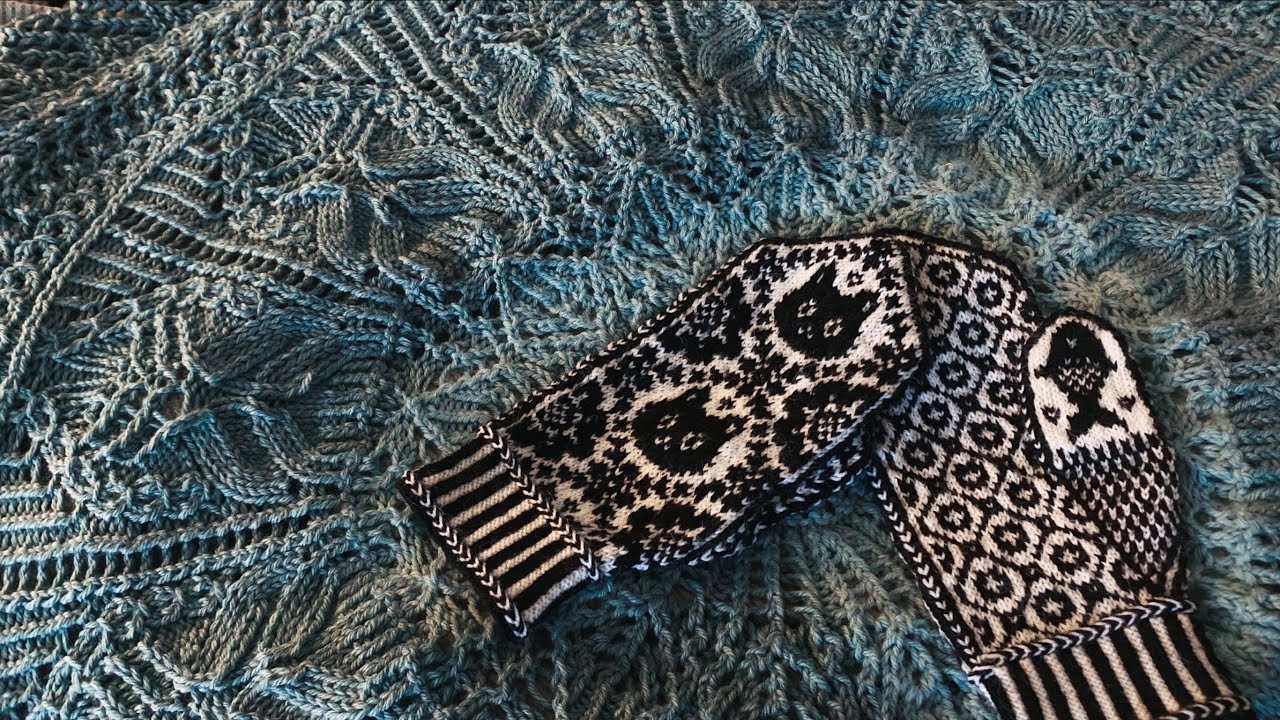 Kitten Mittens and Dog Sweaters ❄️ A December Project Journal