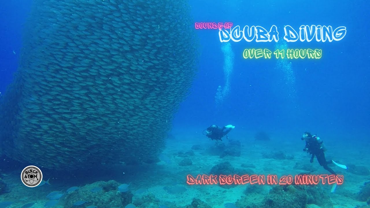 Sounds for Sleeping ⨀ Scuba Diving ⨀ White Noise for Deep Sleep ⨀ Dark Screen ⨀ Over 11 Hours