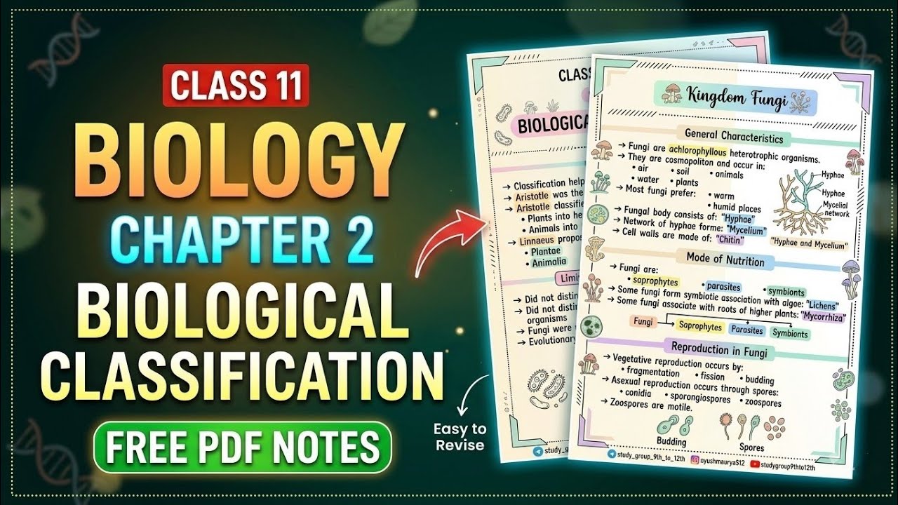 Class 11 Biology Chapter 2 Notes | Biological Classification Complete NCERT Notes | CBSE Board 🔥
