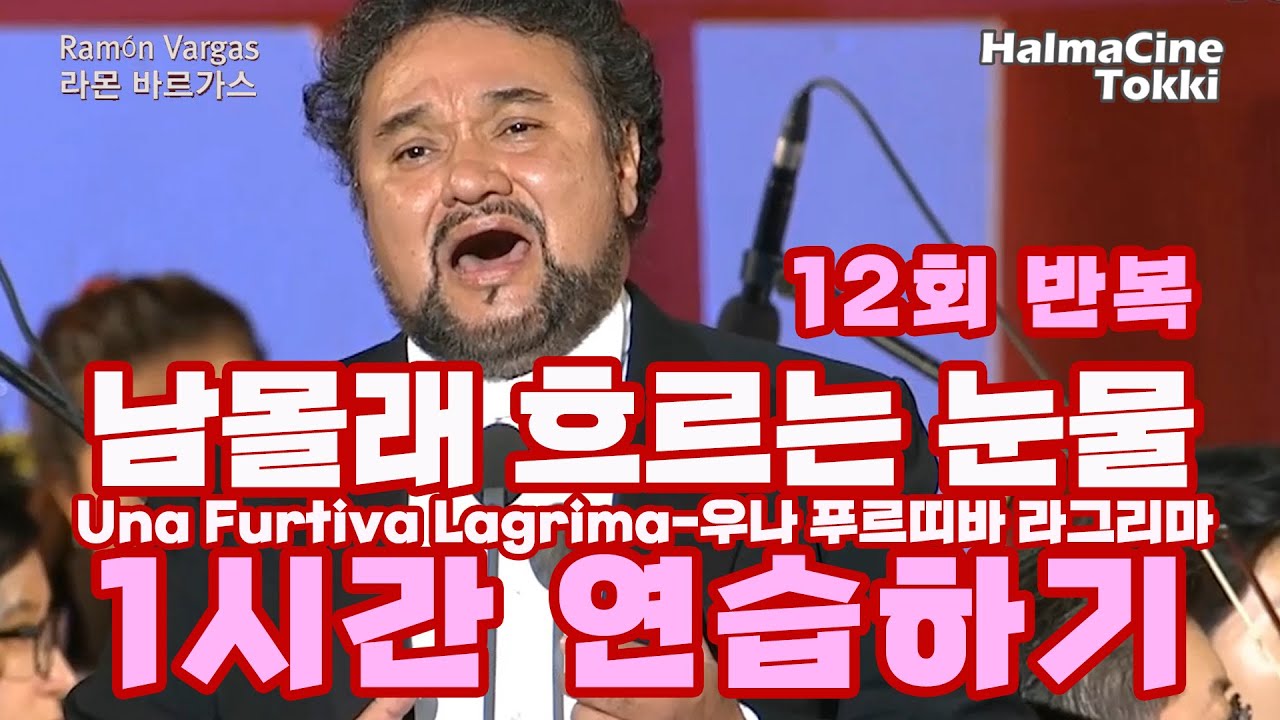 [남몰래 흐르는 눈물] 1시간 연습하기 - 오페라 [사랑의 묘약] 중 Una furtiva lagrima - L'Elisir d'amore 테너 라몬바르가스 Ramon Vargas