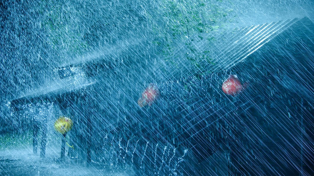 Real Thunderstorm Rain for Sleep, Relax, Study | Heavy Rain on Roof, Intense Thunder & Howling Wind