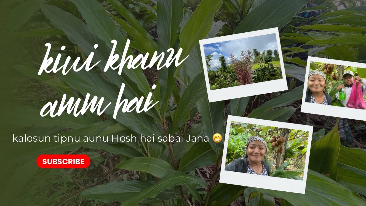 Day-2 Kalosun tipdai ll Kiwi 🥝 khanu am hai guys haru l ek dinma Euta alaichi Barima tipera sakaiyo😁