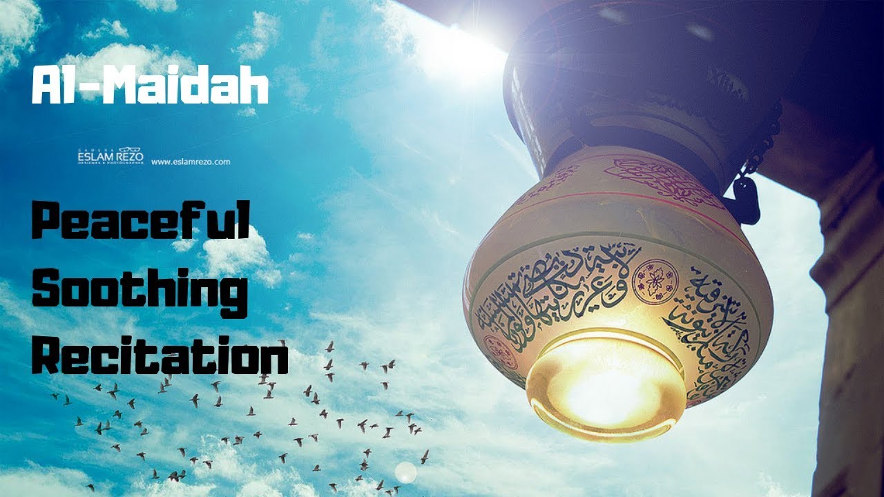 Quran beautiful recitation - Ameer Shamim [Surah Maidah - 30 Min Loop]