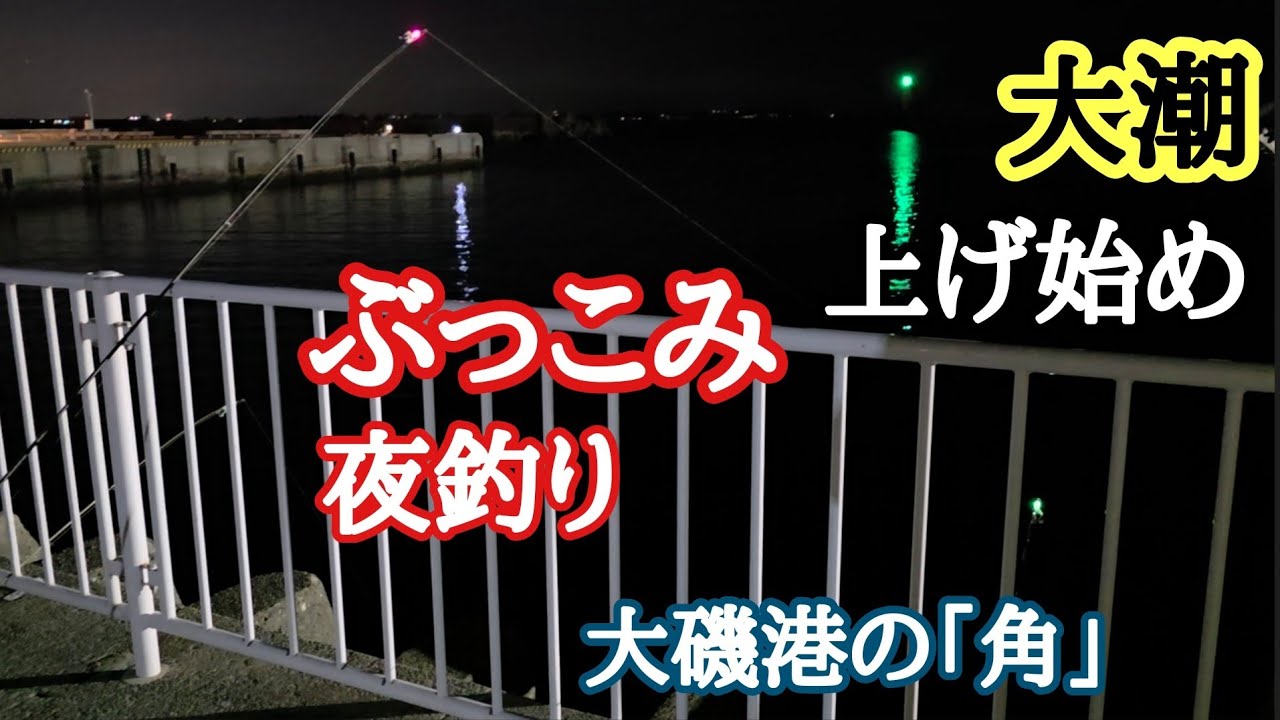【大磯港の角】大潮上げ始めのぶっこみ夜釣り（サンマ短冊・沖アミ）