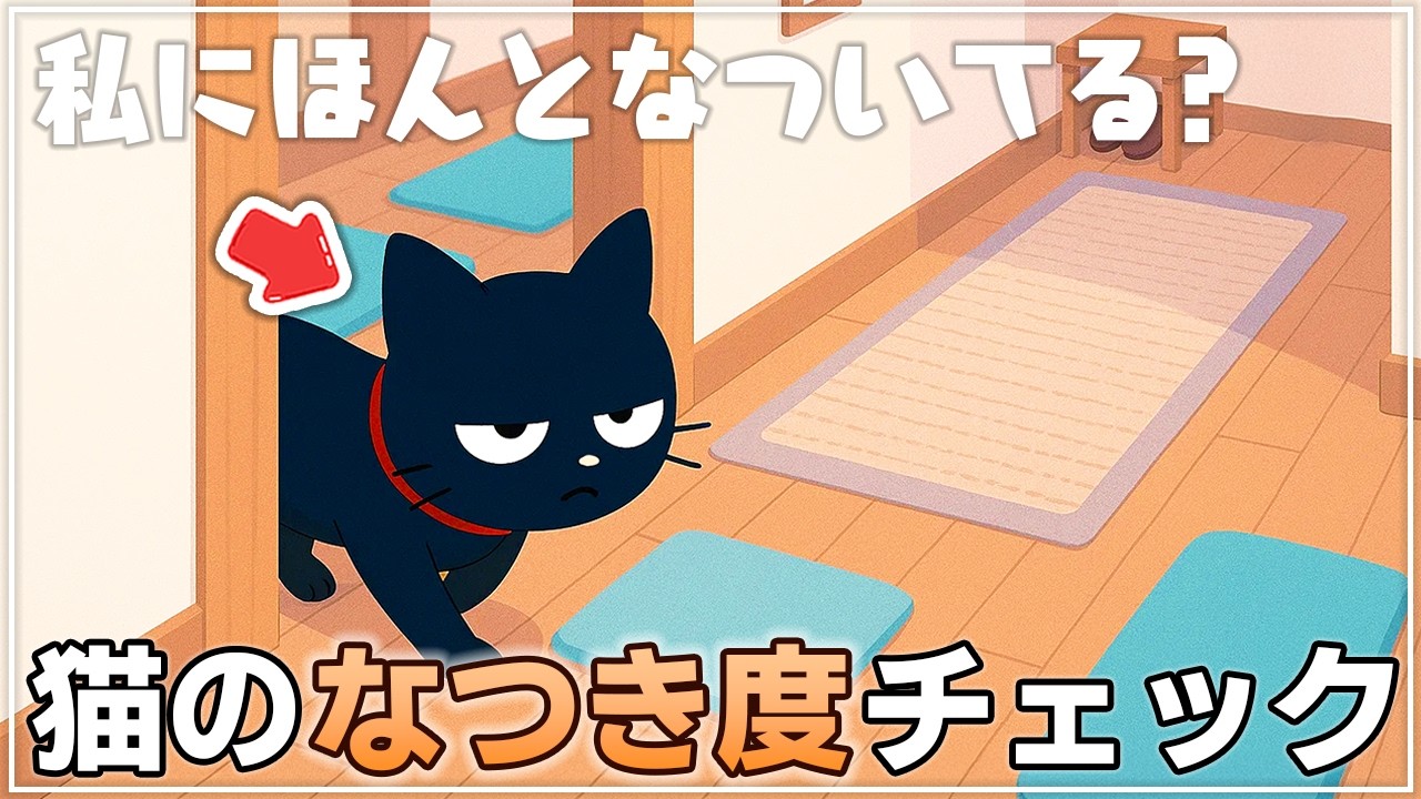 ホントになついてる？猫が本当に心を許してる人に見せる行動【猫雑学】