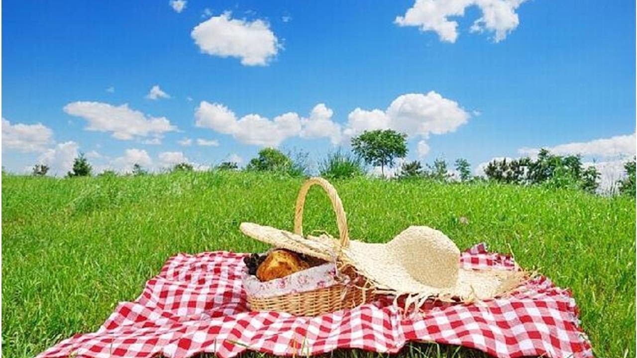 Menu na piknik: jakie jedzenie zabrać na piknik? [WIDEO] | James Dene