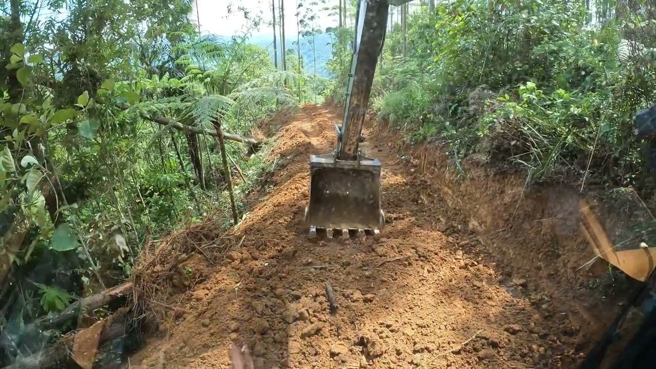 Escavadeira abrindo estrada em reflorestamento P2