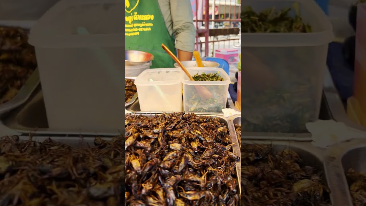 I tried insects as street food in Thailand 😁