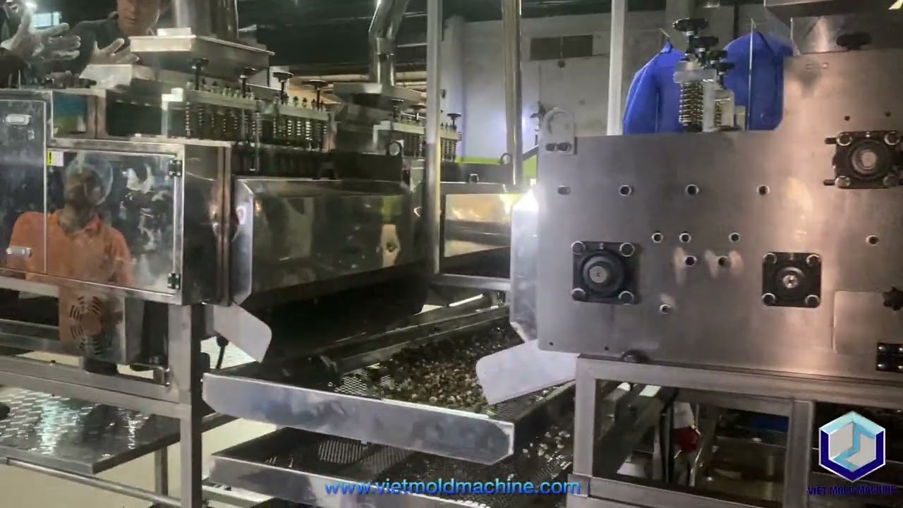 Cashew Sheller CHS12