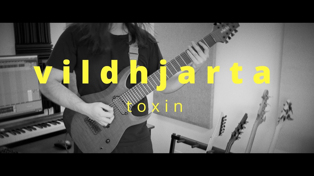 Vildhjarta - toxin (One Take Guitar Cover)