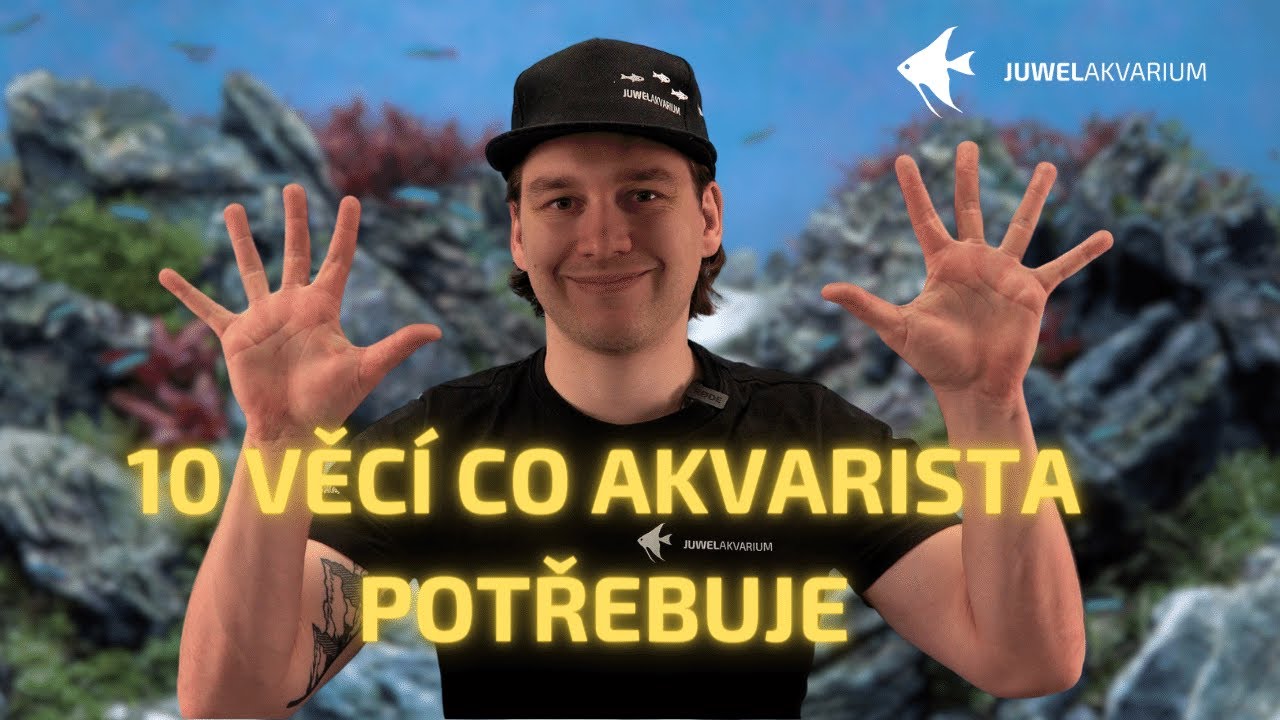 10 Věcí co akvarista potřebuje