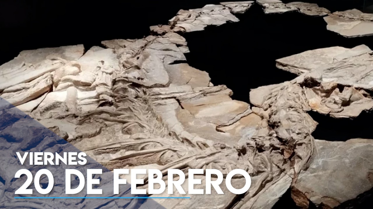 TOLEDO AL DÍA / 20 DE FEBRERO DE 2026