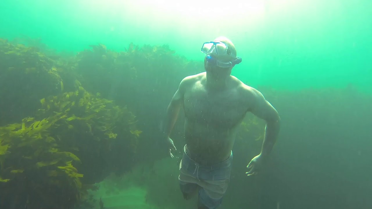 Mettams Pool Snorkelling - Swim throughs, caves, huge schools of fish and some fun as well!