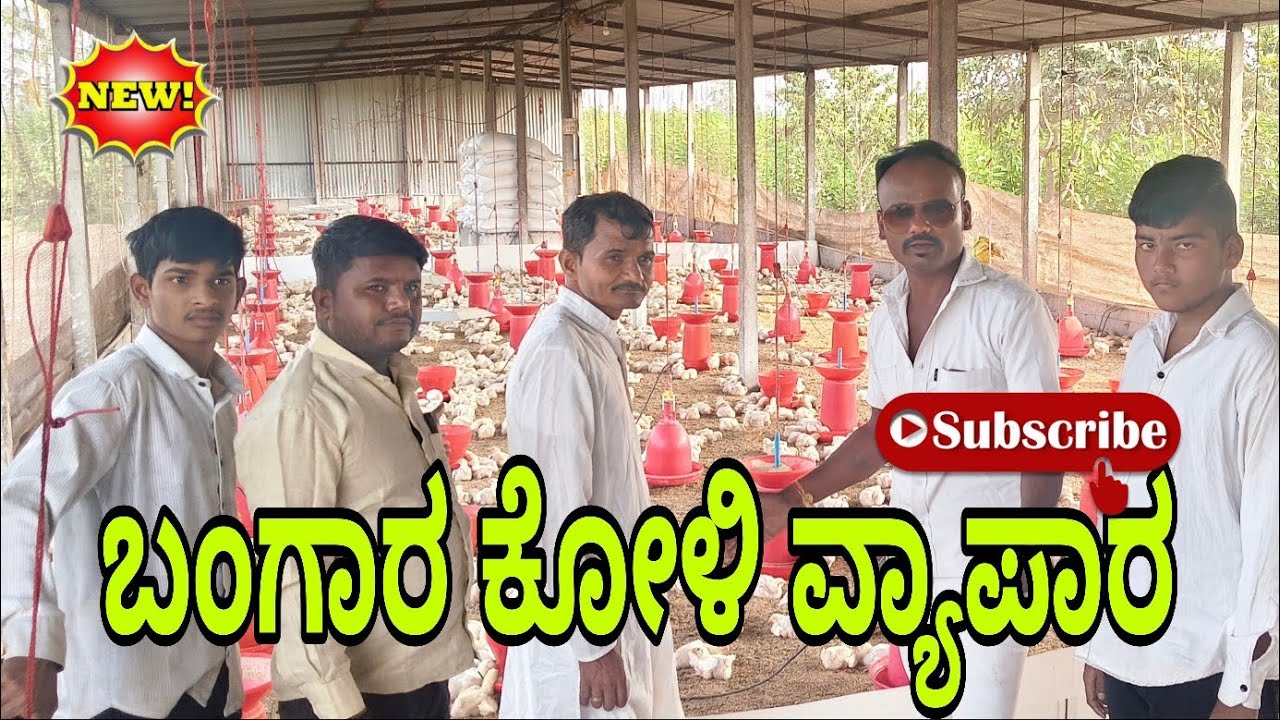 ಬಂಗಾರ ಕೋಳಿ ವ್ಯಾಪಾರ, bangara Kohli Vyapar, ಕನ್ನಡ ಕಾಮಿಡಿ ವಿಡಿಯೋ#comedy #video 