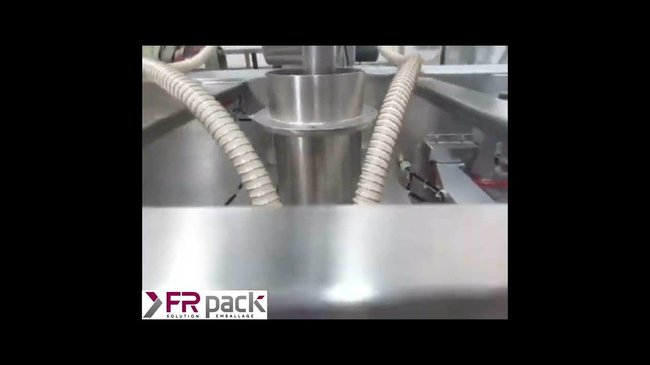 Ensacheuse automatique DOY PACK Sachets ZIP produits farineux Doseur &agrave; vis sans fin