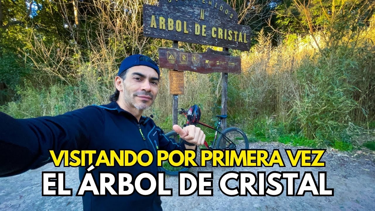 Voy PEDALEANDO 🚲 al PARQUE PEREYRA a Conocer EL ARBOL DE CRISTAL 😉👍 #bicicleta #aventura #bike #bici