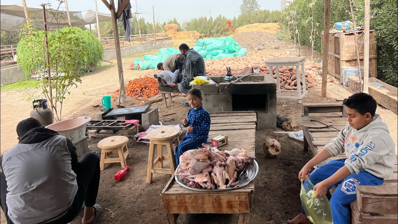 جوزي بيقلي قاعدلك بالعصايا 🥷شغلك مش عجبني 🤦‍♀️مش كفايه الفراخ نصها مات 🤦‍♀️هنت عليك يابو العيال 👊