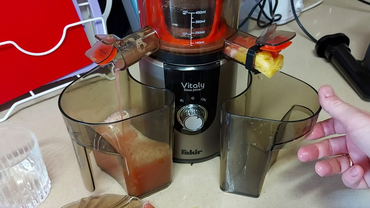 соковыжималка Fakir Vitaly Slow Juicer