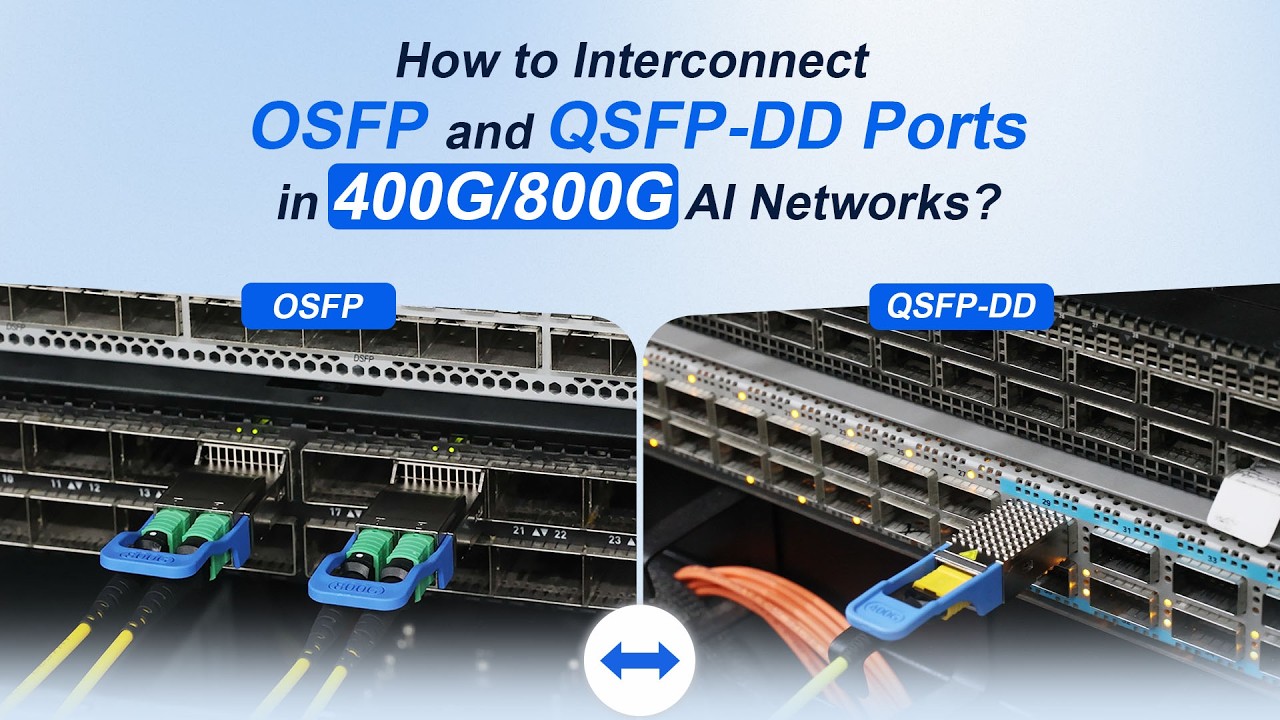 Как соединить порты OSFP и QSFP-DD в сетях 400G/800G для ИИ