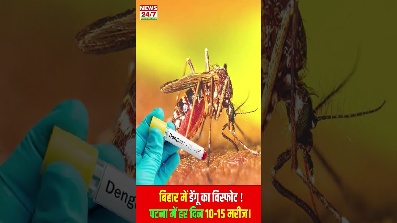 कंकरबाग में डेंगू का कहर! 18 दिनों में 103 केस#patnanews #dengue #news #patnadengue #breakingnews
