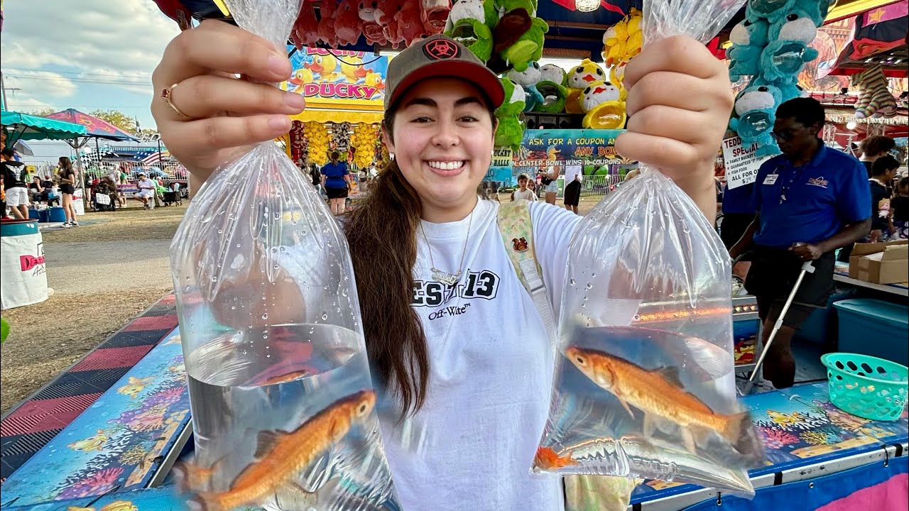 I WON Goldfish From A Carnival Game!