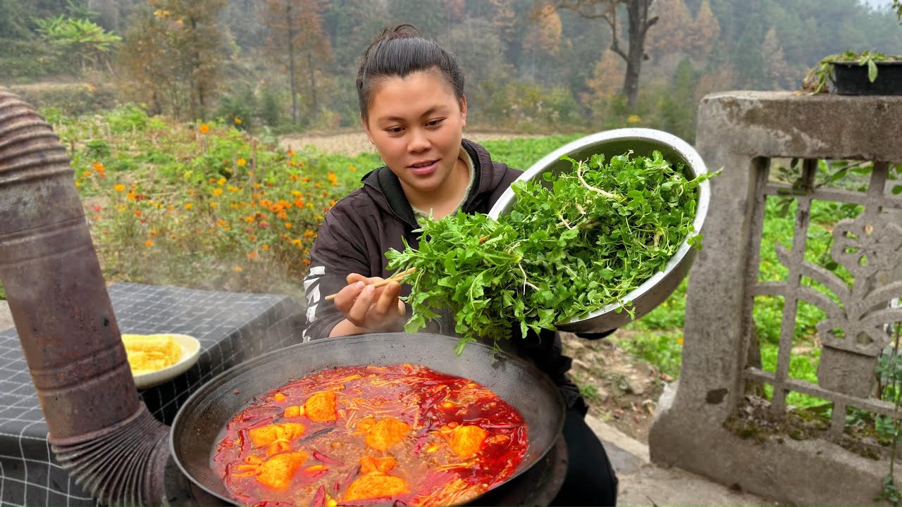 今天挖了各种新鲜野菜，做个香辣的猪油火锅吃过瘾 Today, I dug up a lot of wild vegetables to make hotpot