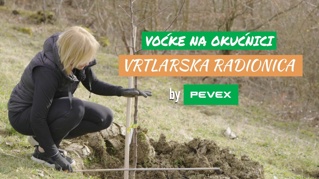 Voćke na okućnici - Vrtlarska Radionica by Pevex