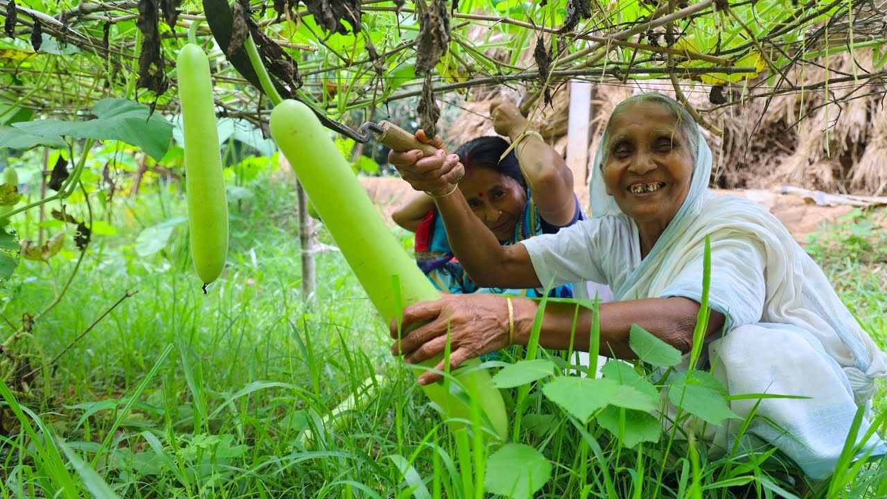 পুকুরের মাছ দিয়ে ঠাকুমার বাগানের টাটকা লাউ রান্না | Fish and Bottle Gourd recipe by Grandmother