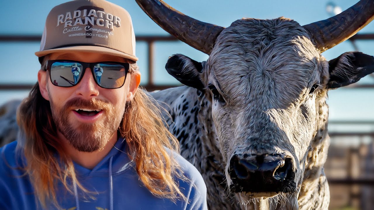 I Took My New Bull To The Rodeo! Intern Went Missing! Rode Time 470