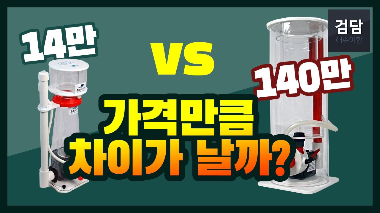 비싼 스키머 그만큼 좋을까? (14만원 vs 140만원 스키머 비교) l 버블킹이란 이런 거구나