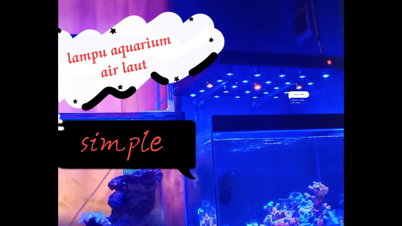 cara bikin lampu aquarium air laut  pake led hpl dan led driver