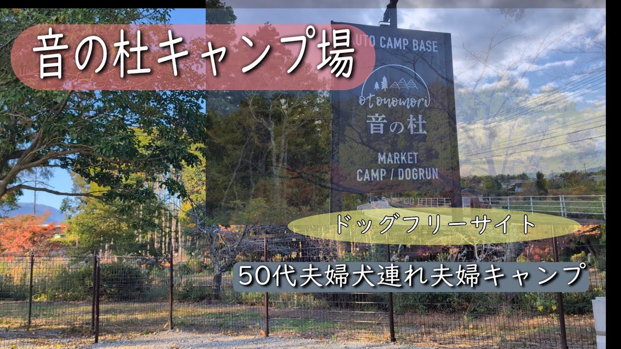 音の杜キャンプ場　2024年7月オープンしたてのキャンプ場　とても綺麗なキャンプ場　景色もよく最高でした ドッグフリーサイトもあるので犬連れキャンプされる方にもおすすめです