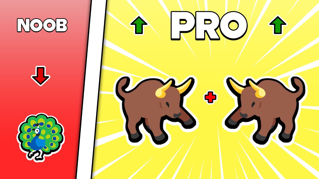 This DUO WINS RANKED in Super Auto Pets